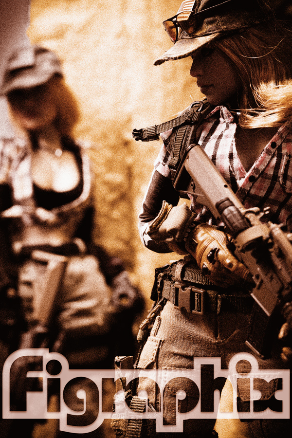 DAMTOYS COMBAT GIRL Series Gemini