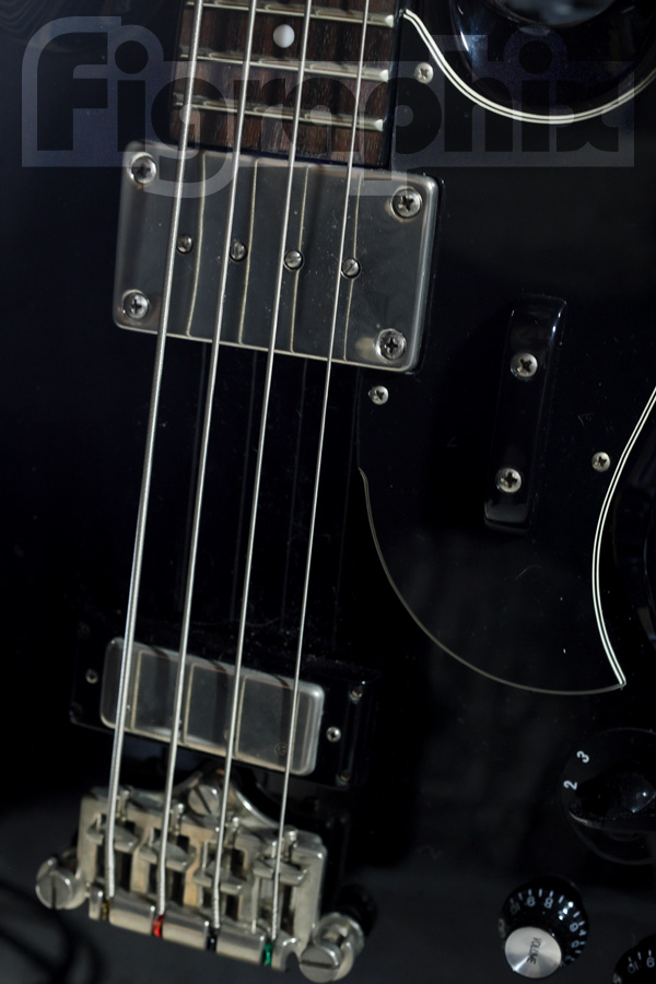 Epiphone EB-3 Limited Edition | talkin' in the sleep