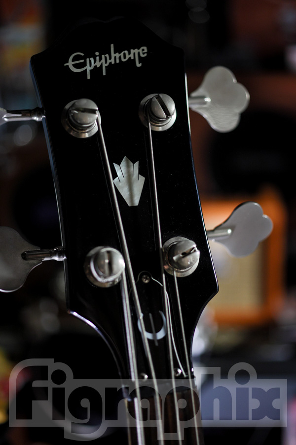 Epiphone EB-3 Limited Edition | talkin' in the sleep